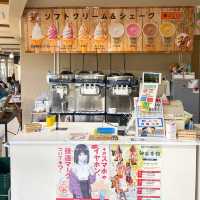 【宇目】祖母傾ユネスコエコパーク登録決定！景色抜群道の駅✨