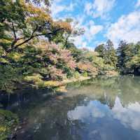 【京都府立植物園】100周年を迎えた京都の四季を一番感じる場所
