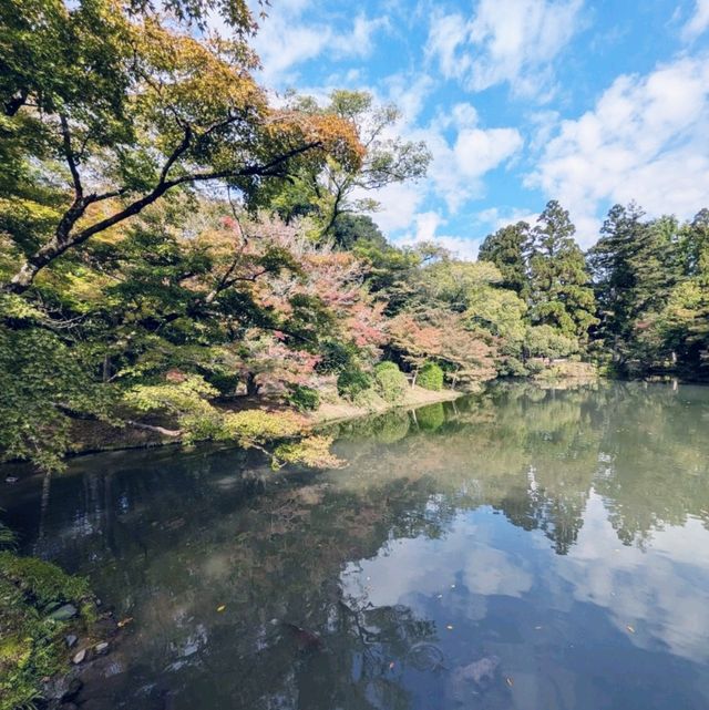 【京都府立植物園】100周年を迎えた京都の四季を一番感じる場所