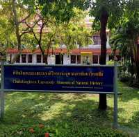 泰國曼谷朱拉隆功大学自然历史博物館，親子博物館遊覽好去處