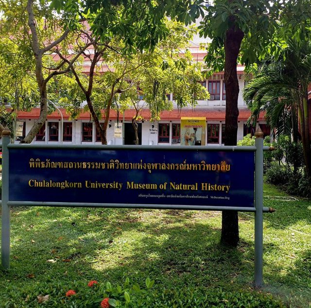 泰國曼谷朱拉隆功大学自然历史博物館，親子博物館遊覽好去處