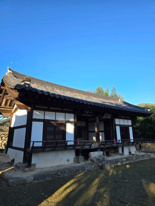 조용하고 한적한 거창 은행나무 명소💛