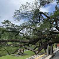 Raintree Walk