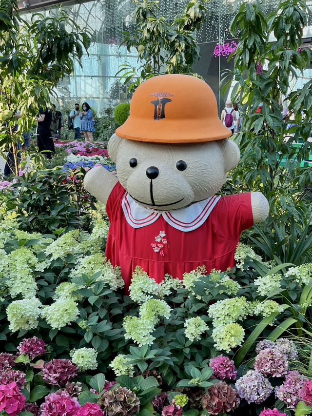 현대적이고 감각적인 도시 정원 ‘가든스 바이 더 베이’🇸🇬