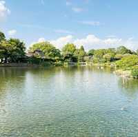 Garden of Wonders: Discovering the Beauty of Suizenji in Kumamoto!