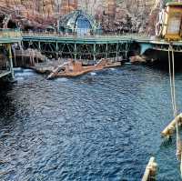 One Day of Magic: My Unforgettable Adventure at DisneySea Tokyo!