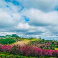 ภูลมโล