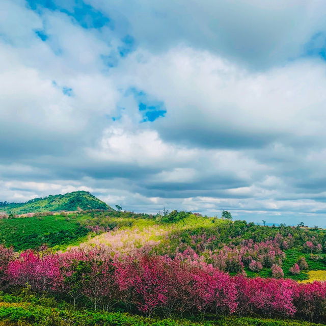 ภูลมโล
