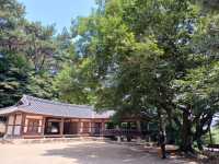 "고창읍성에서 만난 600년의 역사, 자연과 함께한 힐링 여행"