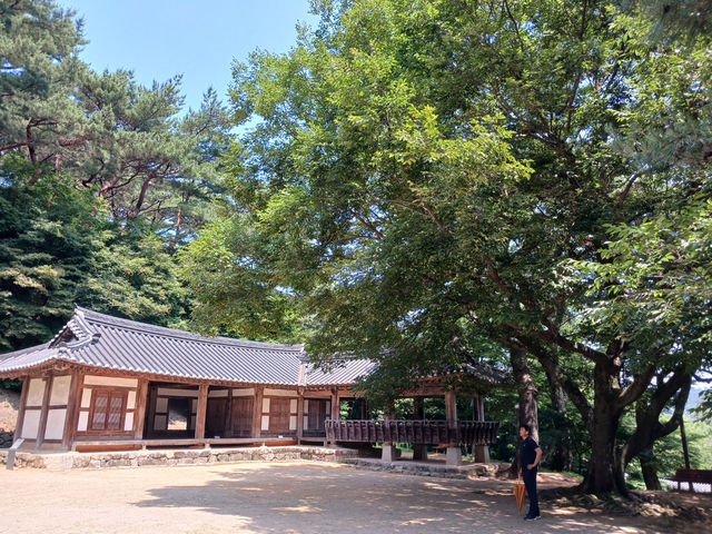"고창읍성에서 만난 600년의 역사, 자연과 함께한 힐링 여행"