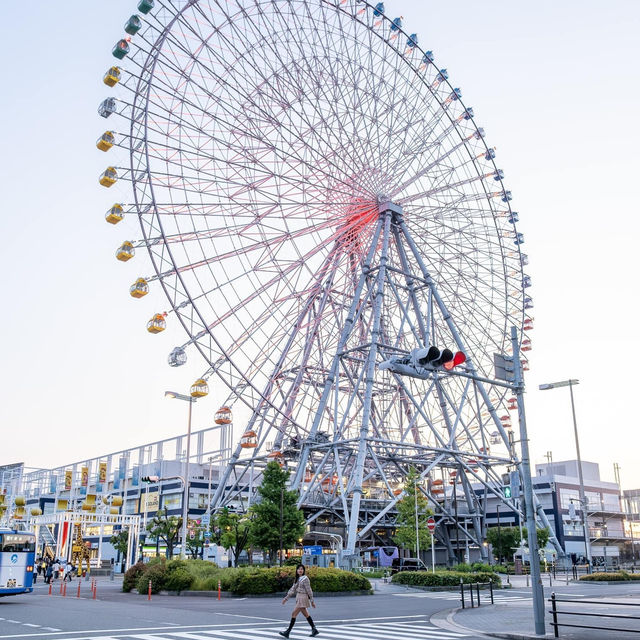 เที่ยว Osaka ด้วยกันทุกคน❄️🏙️