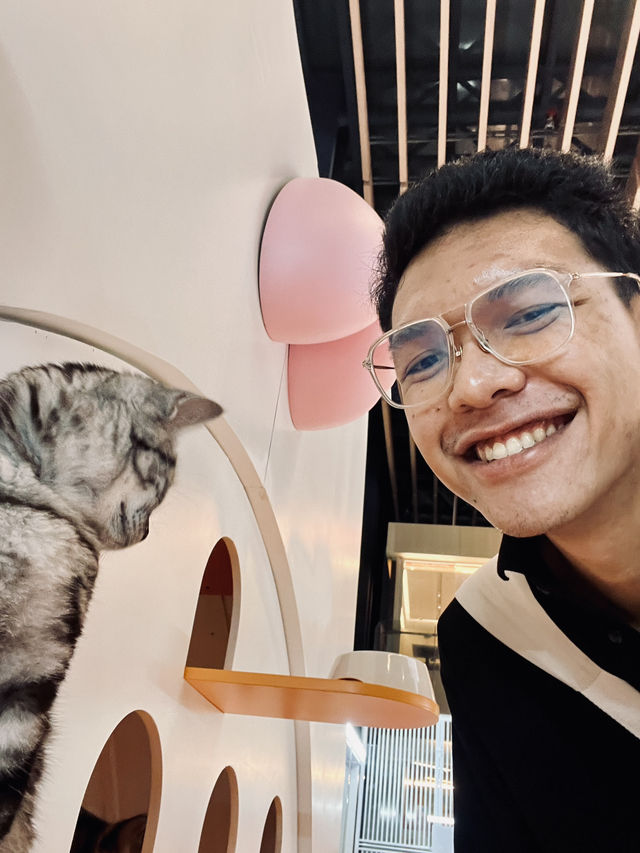 Hello Shenzhen! ตะลุยกิน เล่นกะแมว 😻