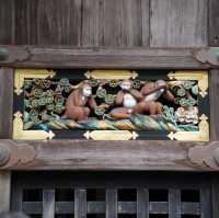 【栃木/日光】紅葉も美しい日光東照宮