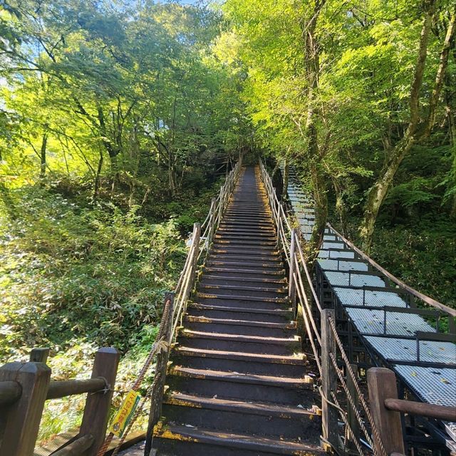 우리나라에서 가장 높은산 한라산을 가보자
