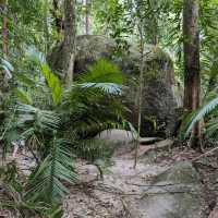 A Journey Through Mossman Gorge