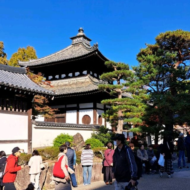 【東福寺:京都市東山区】1236 年創建の仏教寺院で紅葉の名所🍁