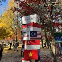 A Beautiful Escape: Nami Island Review