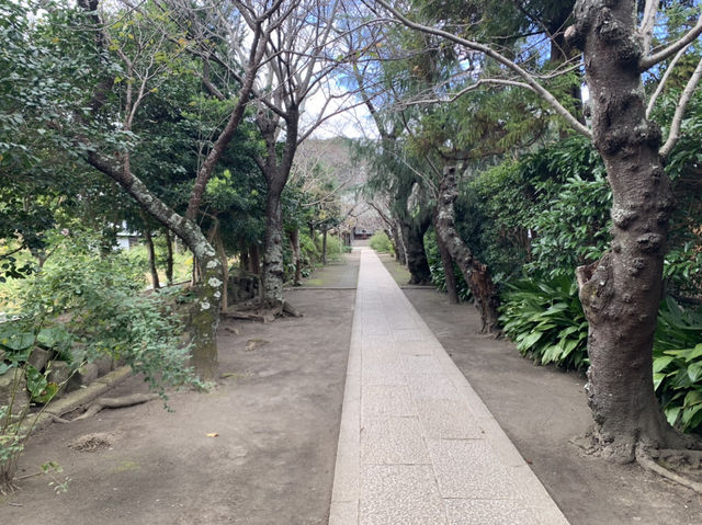 鎌倉観光　極楽寺