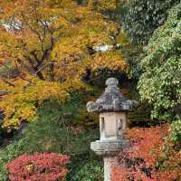 慶沢園：紅葉盛宴 🍁⛩️