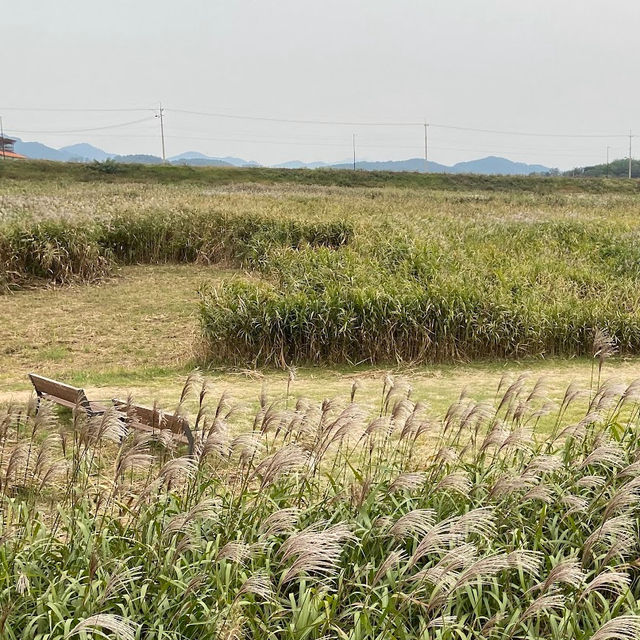 서천 가볼만한 곳