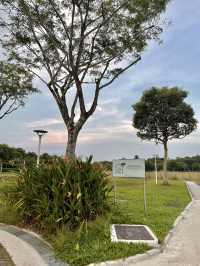 เช่าจักรยานปั่นดูวิวธรรมชาติ @Punggol Park 🌳