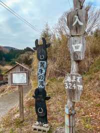 【大分】マイナスイオンたっぷりの迫力のある滝