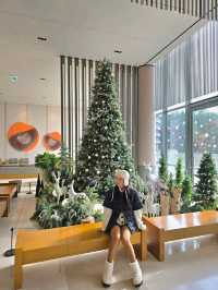 숲속요정 트리존이 멋진 거제여행지🎄