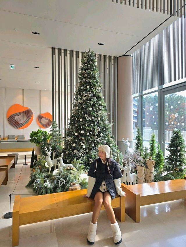 숲속요정 트리존이 멋진 거제여행지🎄