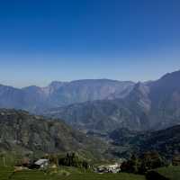 阿里山茶園：不容錯過的隱藏秘境