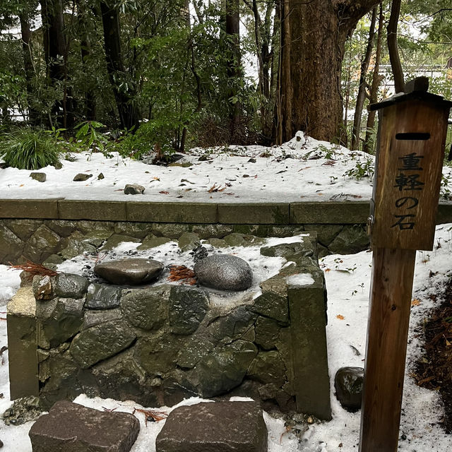 【新潟🌾】新潟の最強パワースポット⛩️
