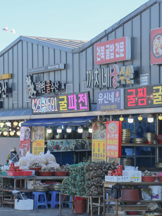 바다부터 체험까지, 겨울에 더 즐거운 보령여행🌊❄️🩵