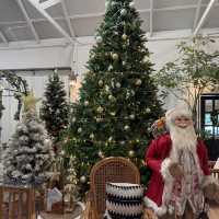 The Creeper House คาเฟ่น่ารักกับChristmas cottage