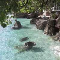 Hayahay Beach Resort Canibad Samal Island