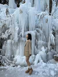 어디 북유럽아니고 대한민국 의정부의 겨울왕국, 달리온⛄️🇰🇷