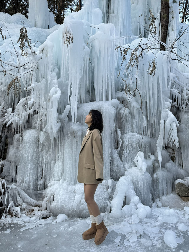 어디 북유럽아니고 대한민국 의정부의 겨울왕국, 달리온⛄️🇰🇷