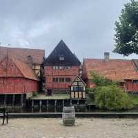 Aarhus with Den Gamle By, Denmark 🇩🇰
