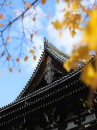 京都楓葉王國！我只服東福寺🍁