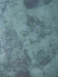 𖤣𖤥平價版馬爾代夫𖤣𖤥 仙本那🏝️渡假水上屋 
