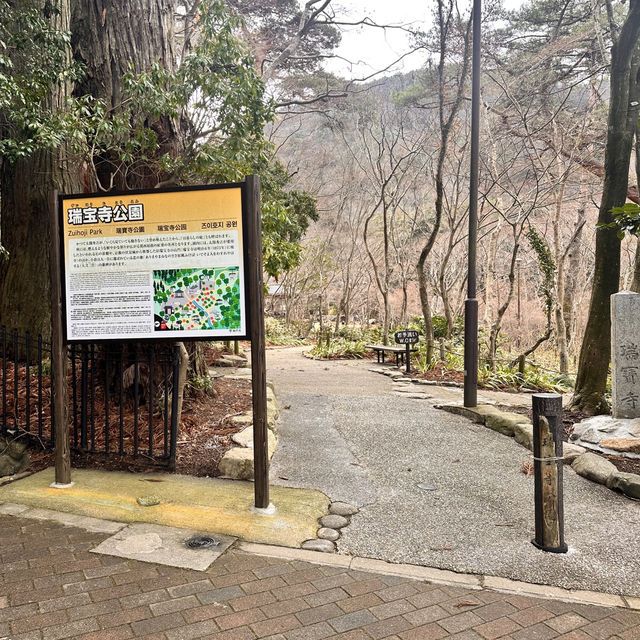 🇯🇵漫步有馬溫泉療癒之森🌲