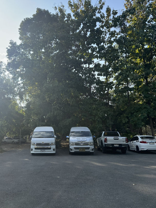 🌼พิพิธภัณฑ์ ซุ้มต้นลีลาวดีที่น่าน🏛️🍃