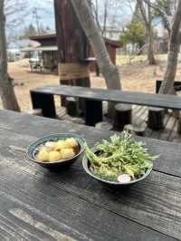 【軽井沢】おしゃれな味わいと癒しの時間を満喫🍽️