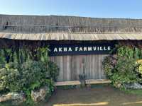  Akha Farmville  🐑⛰️☕️