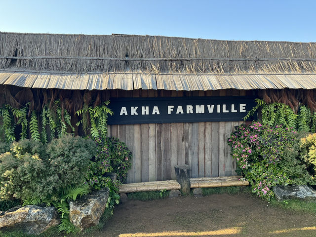  Akha Farmville  🐑⛰️☕️