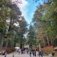 Exploring the Grandeur of Nikko Toshogu Shrine