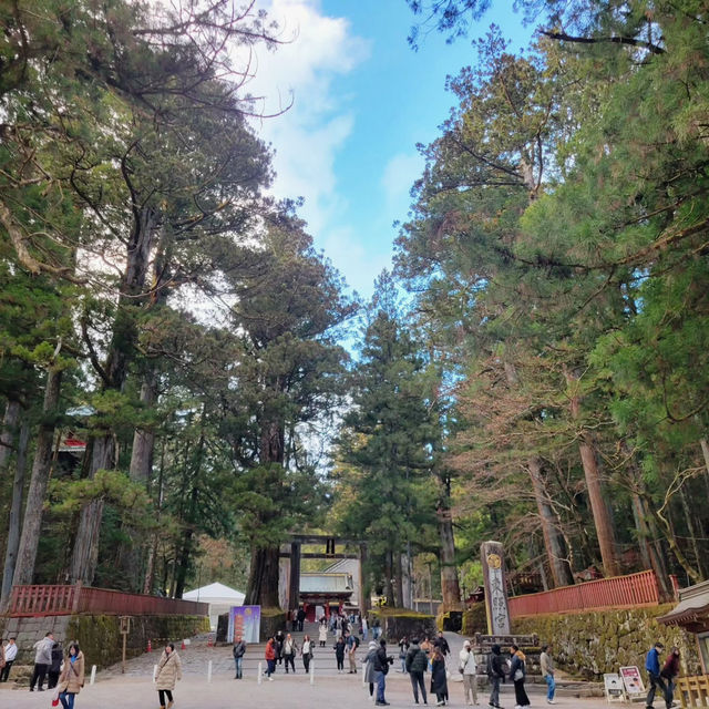 Exploring the Grandeur of Nikko Toshogu Shrine
