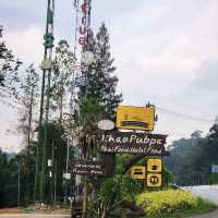 ร้านอาหารเขาพับผ้า