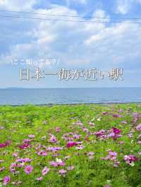 [愛媛]エモすぎ☺️🩵映えスポット