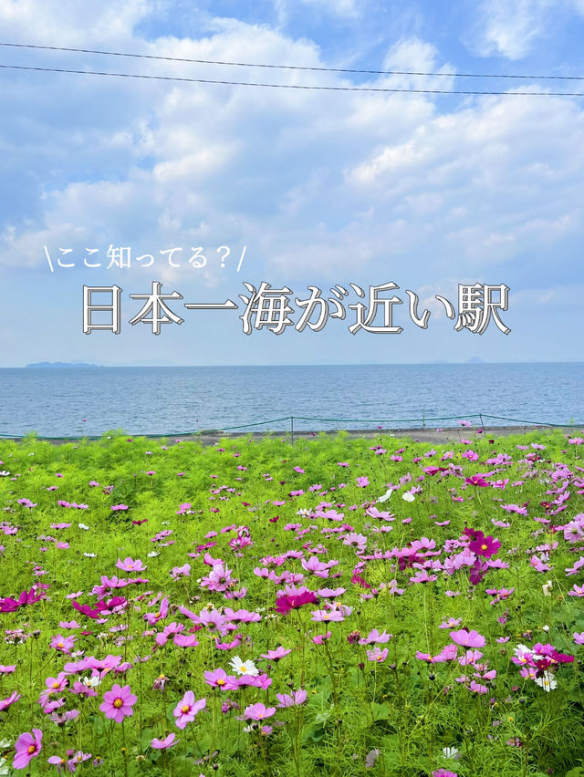 [愛媛]エモすぎ☺️🩵映えスポット
