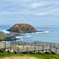 Phillip Island, located just off the coast 