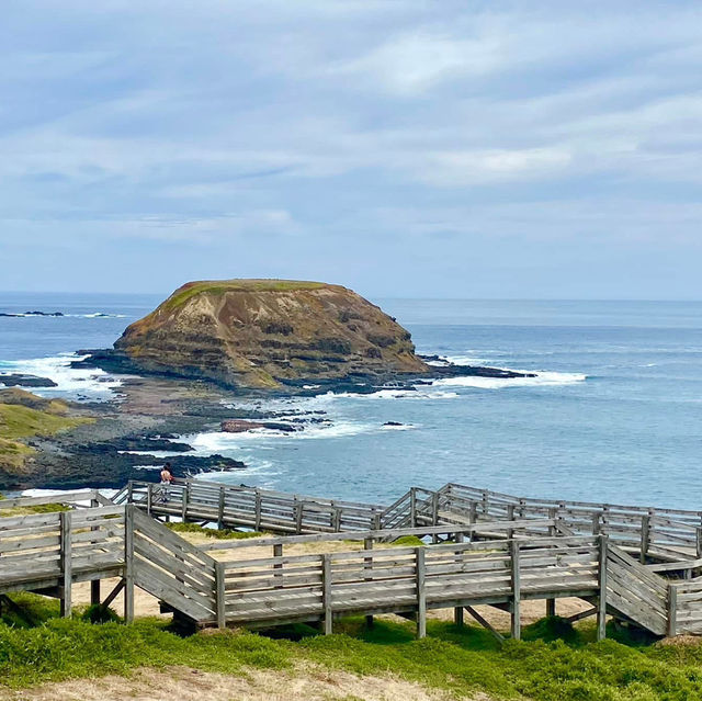 Phillip Island, located just off the coast 
